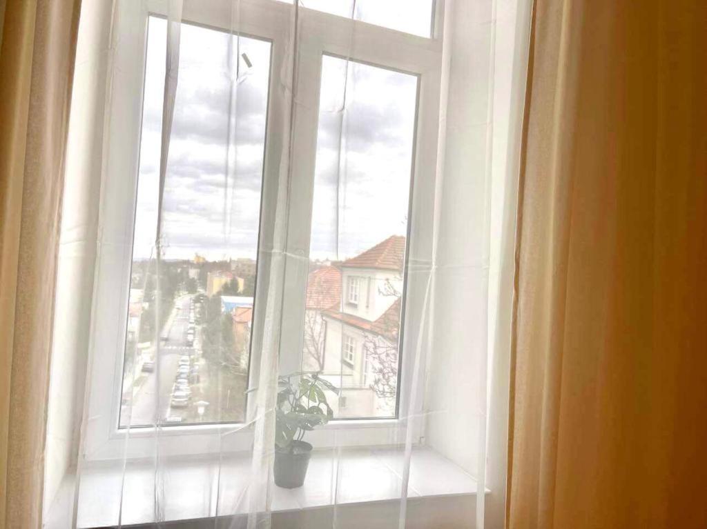 Vinohrady * Brno